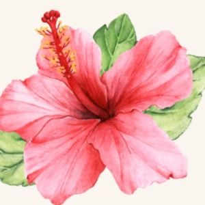 Meet your Posher, Tabitha